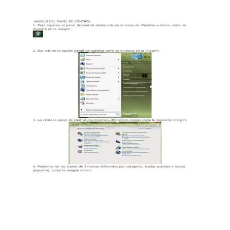 Ingresar al panel de control | PDF