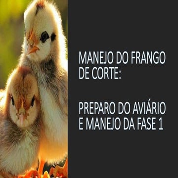 Manejo do frango de corte - preparo do aviário e manejo fase 1.pptx