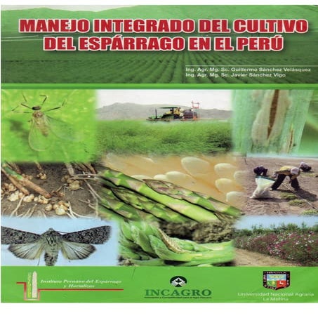 Manejo integrado de plagas en el cultivo de esparrago