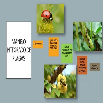 Manejo integrado de plagas (MIP)