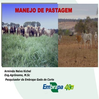 [Palestra] Armindo Kichel: Manejo d...