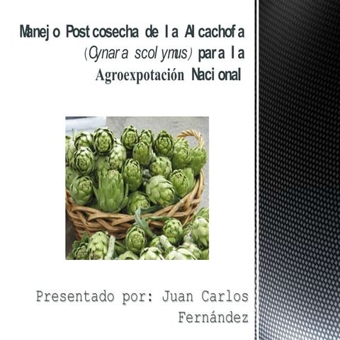 Manejo postcosecha de la alcachofa (Cynara scolymus)