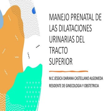 diagnostico-prenatal-de-malformaciones-urinarias-pdf