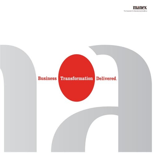 Manex Services, Consultant Overview and Project Highlights