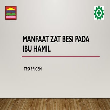 manfaat zat besi pada kesehatan ibu hamil .pptx