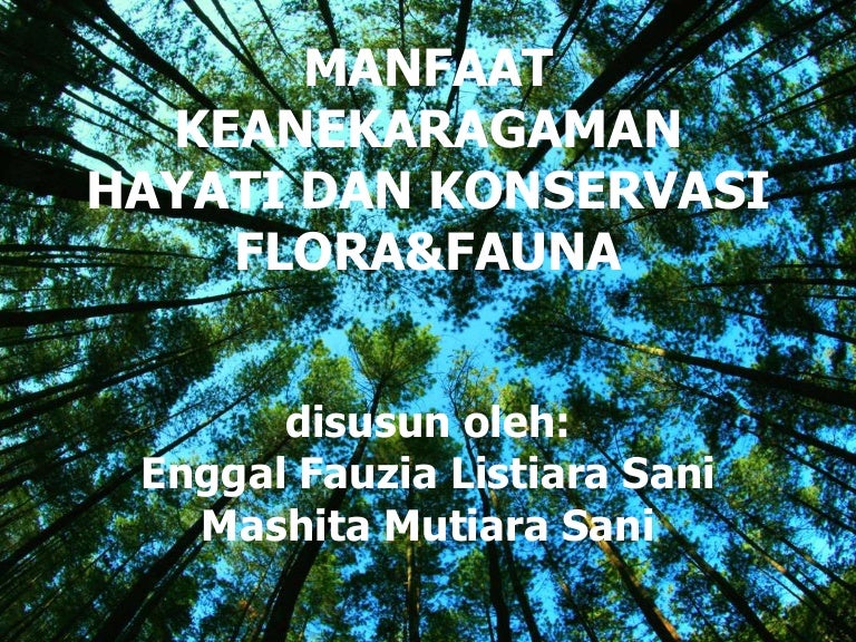 Manfaat Keanekaragaman Hayati Dan Konservasi Geografi Manfaat Keanekaragaman Hayati Dan Konservasi Geografi