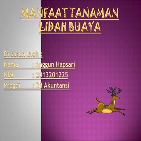 Manfaat tanaman lidah buaya