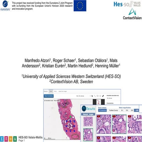 An Image Retrieval System for Digital Pathology