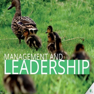 Management & Leadership