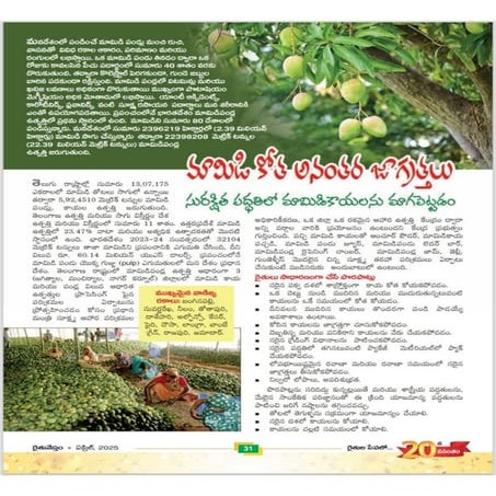 Post harvest Management Mango ripening Poshadri