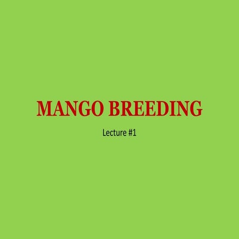 Mango breeding