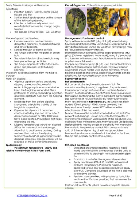 Mango crop protection