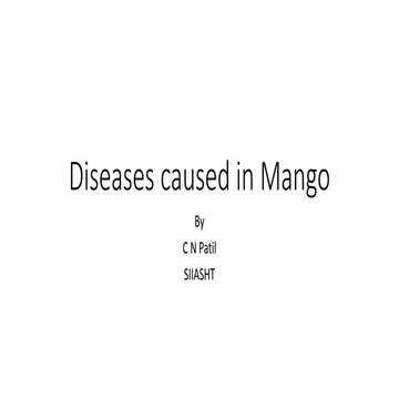 Mango diseases