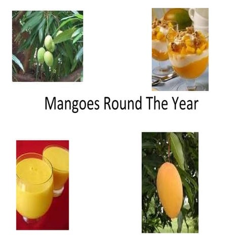 M angoes round the year