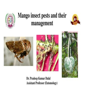 insect-pests-of-mango-crop -LifeCYCLE.pptx