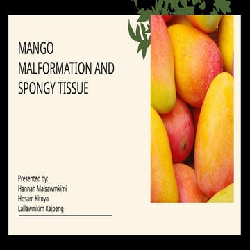 MANGO MALFORMATION AND SPONGY TISSUE.pptx