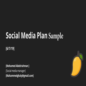 social media strategy & media plan sample
