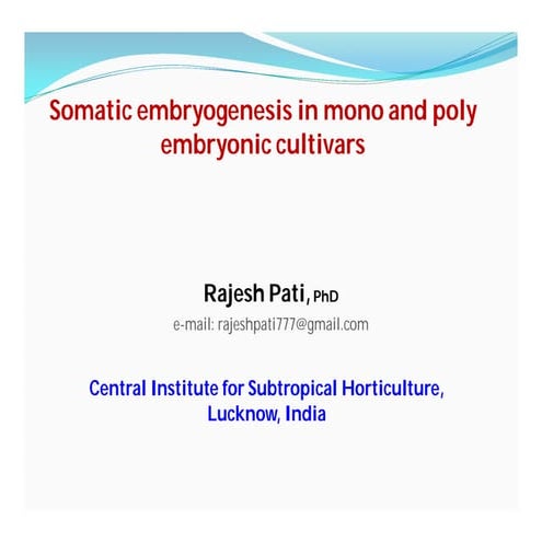 Somatic embryogenesis in mono and poly embryonic varieties of mango