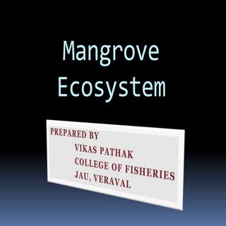 Mangrove
