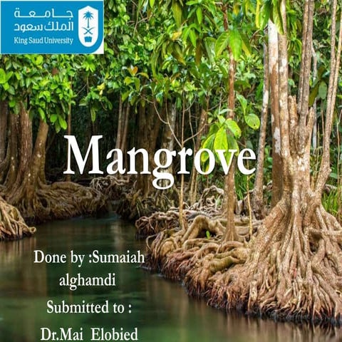 Mangrove 