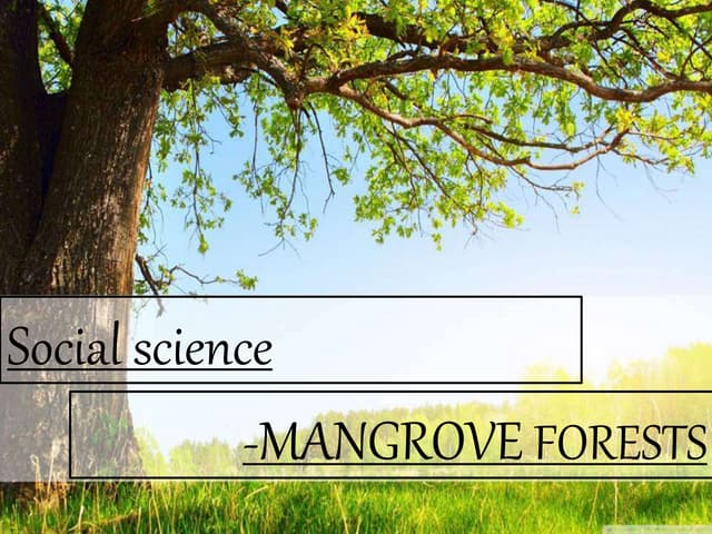 Mangrove forests ppt 