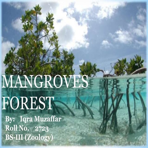 Mangroves