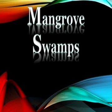Mangrove swamps