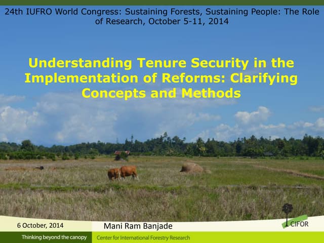 Understanding Tenure Security in the Implementation of Reforms: Clarifying Concepts and Methods