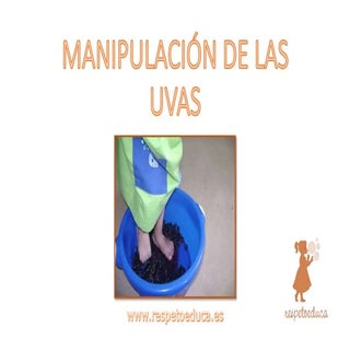 ACTIVIDADES EL TACTO INFANTIL 