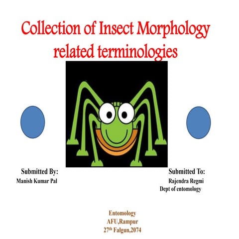 Terminologies related to insect Morphology