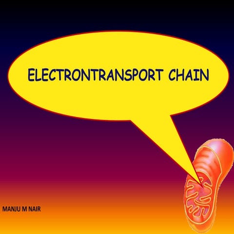 Electron Transport Chain ETC