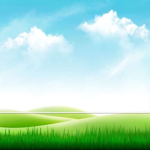 principles of seed production