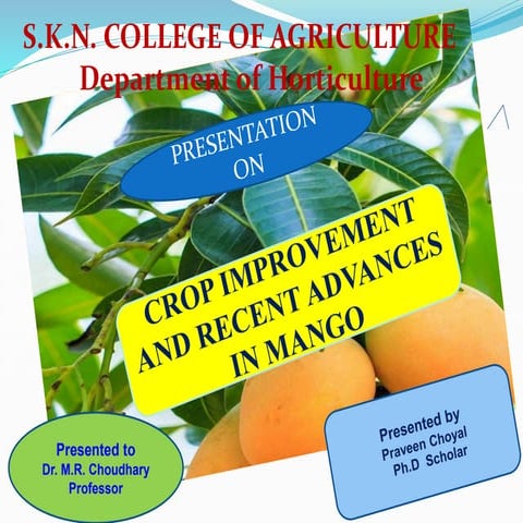 CROP IMPROVEMENT AND RECENT ADVANCES IN MANGO