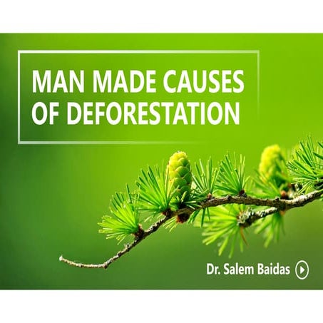 Man Made Causes of Deforestation     