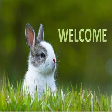 Man made resources & informal learning contexts