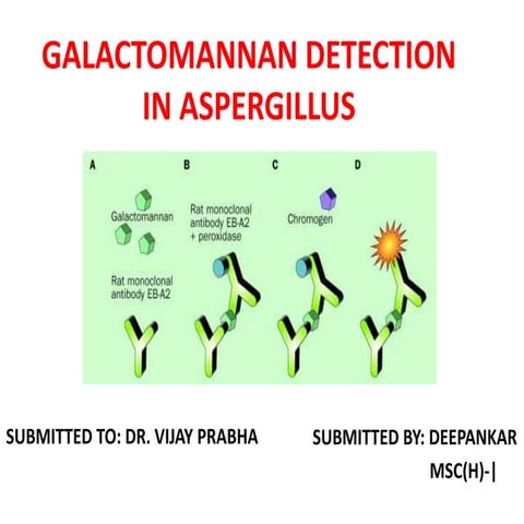galctomannan detection in aspergillus by deepankar nov. 2018