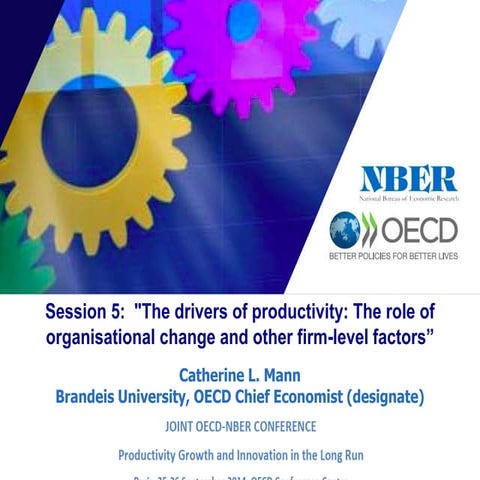 The drivers of productivity: The role of organisational change and other firm...
