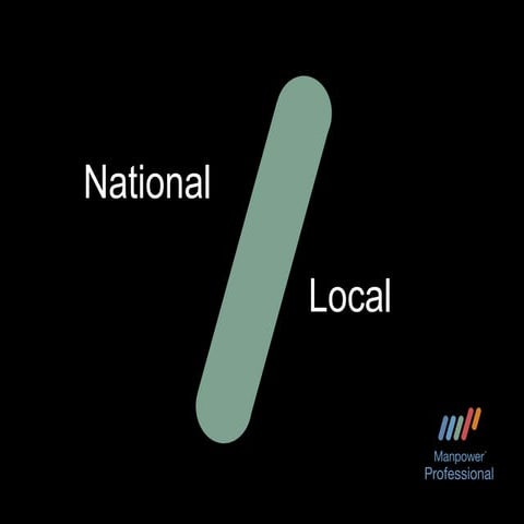 Manpower  Professional  Overview 2010