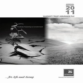 Mansard Insurance Annual Report 2011