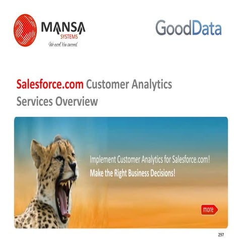 Mansa Systems Salesforce Customer Analytics Services