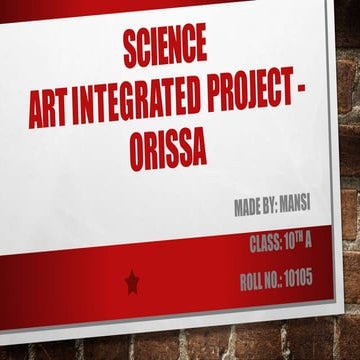 class 10 Science Art Integrated  Project.pptx