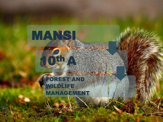 Forest and wildlife management