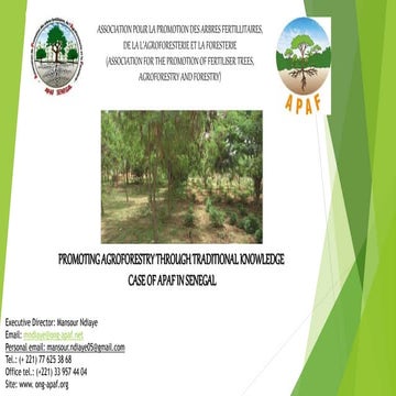 BB59: Promoting reforestation and agroforestry practices - Mansour Ndiaye 