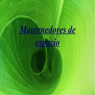 Mantenedores De Espacio