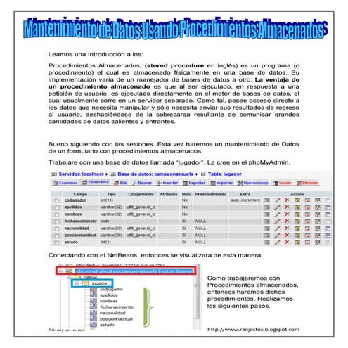 Base de datos con Netbeans | PDF