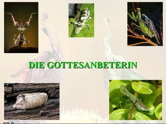 Mantiden PräSentation1