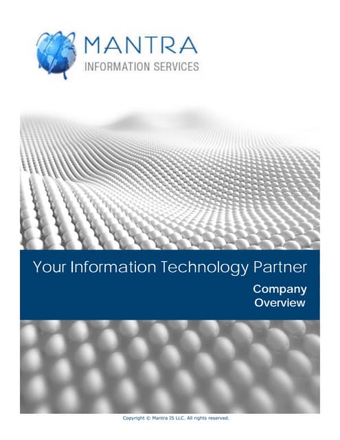 Mantra Information Services - Company Overview