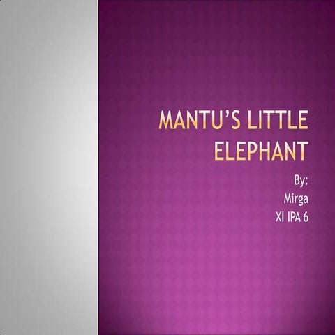 Mantu’s little elephant mirgawati