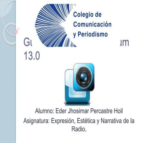 Guía Práctica de Movie Studio Platinum 13.0