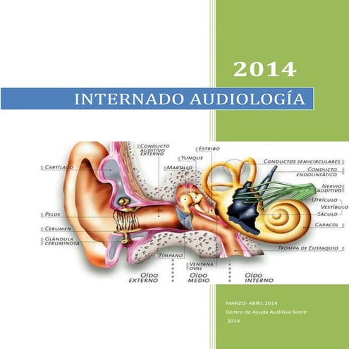 Manual Audiologi A Pdf Pdf